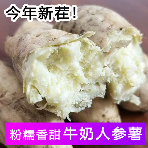 牛奶人参薯新鲜现挖粉糯香甜红薯