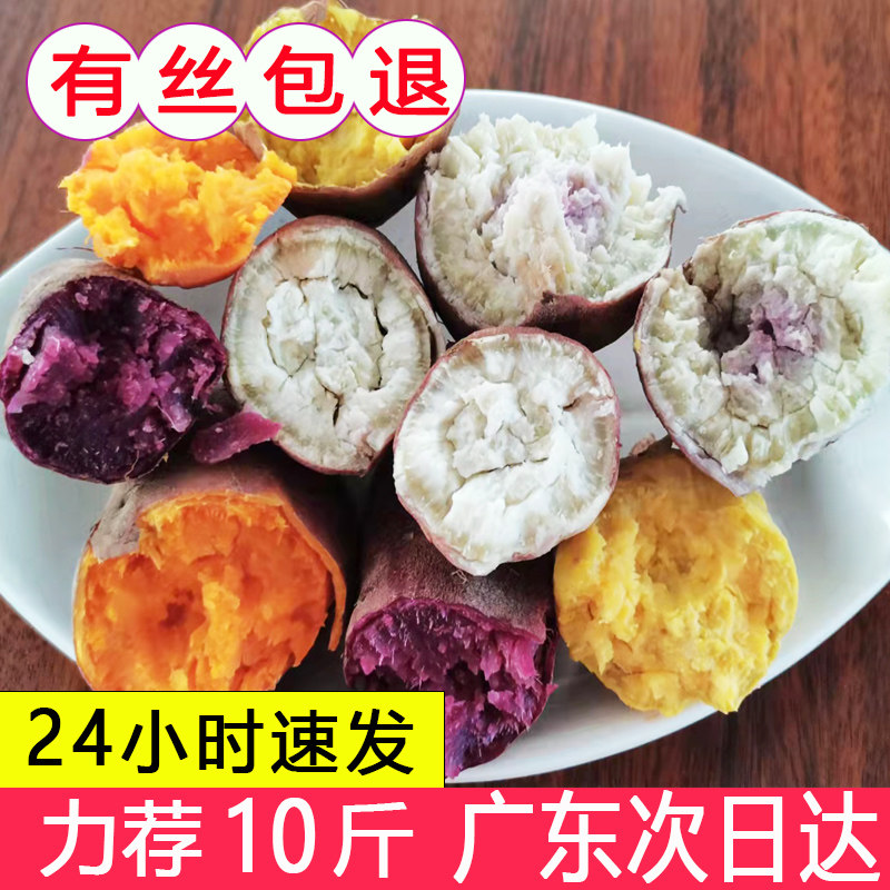 冰淇淋红薯爆皮王番薯鸡蛋黄地瓜紫薯西瓜红蜜薯板栗薯一点红山芋