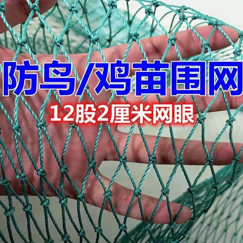 养鸡网拦鸡网鸡苗网围网菜园围网防小鸟围栏小鸡网养殖网麻雀天网-封面