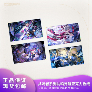 布兰特菲比二次元 正版 共鸣觉醒亚克力色纸 共鸣者系列 周边 鸣潮