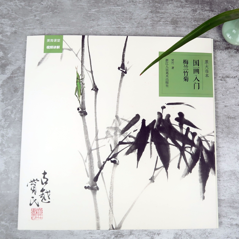 原大原色临本视频教程 初学者国画入门基础教程书写意水墨花卉画册页