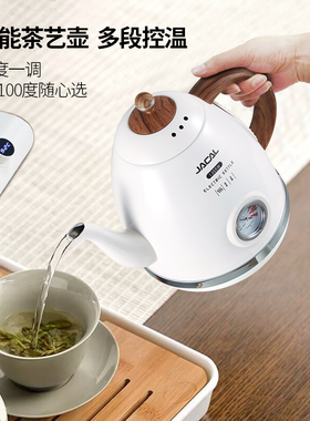 积高E18-5D智能控温电热水壶不锈钢家用烧水壶泡茶专用长嘴快煮壶