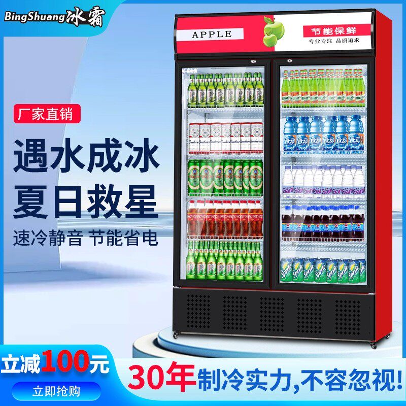 冰霜冷藏展示柜单门饮料柜双开门冰柜冰箱超市啤酒保鲜柜立式饰品