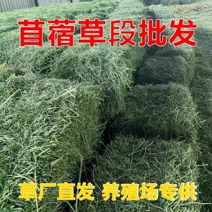 苜蓿草干草批发兔子吃的苜蓿草荷兰猪龙猫草料羊草料兔专用草料