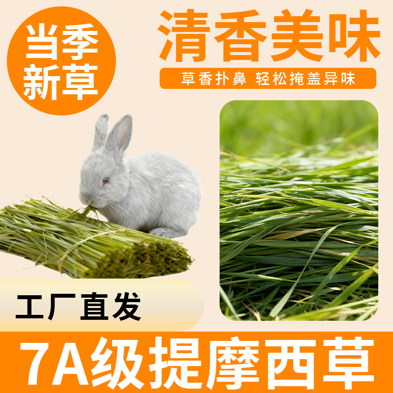 提摩西草晒干提草兔子食用草饲料龙猫荷兰猪宠物草料兔草美提草段