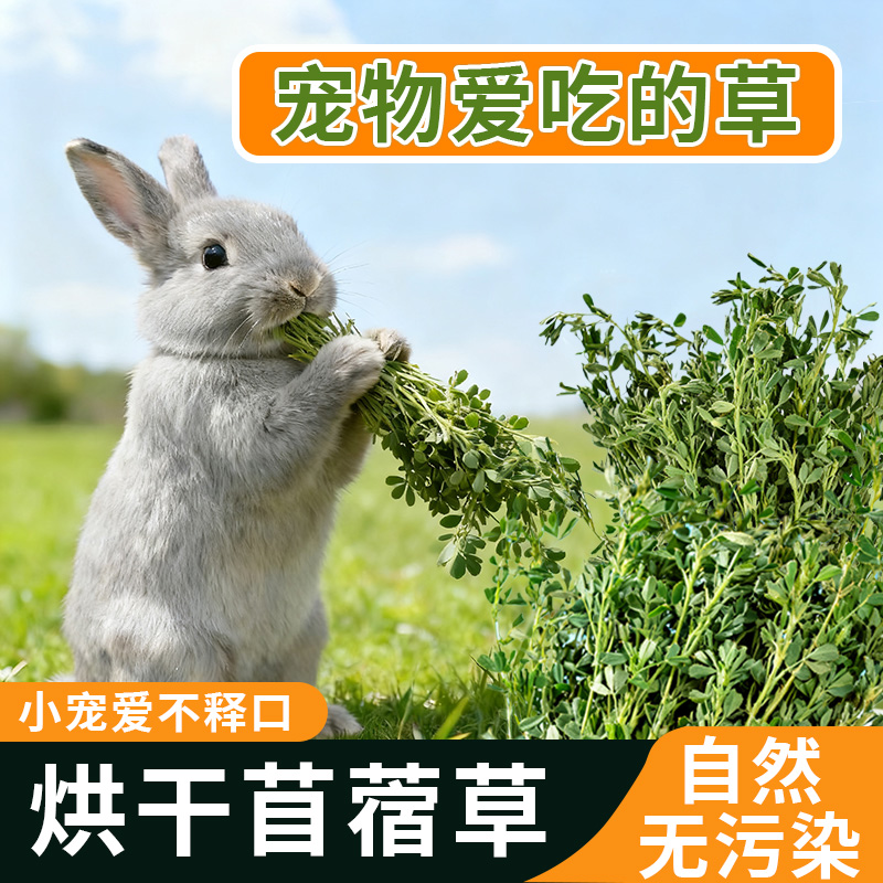 兔子草料烘干苜蓿草干草荷兰猪粮食饲料苜宿草紫花苜蓿草毛重1kg