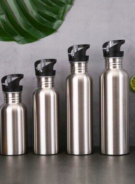 Stainless Steel Sports Water Bottle with Drinking Straw lids