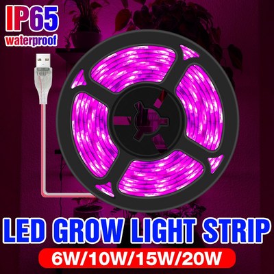Indoor LED Full Spectrum Grow Light USB 5V Flower Plant Gro