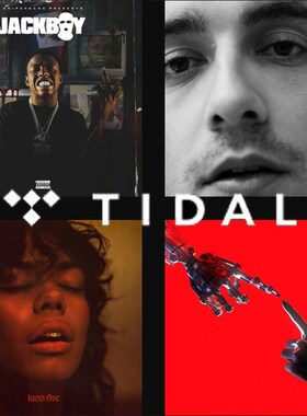 TIDAL HIFI High-end Non-destructive Music Official Master No