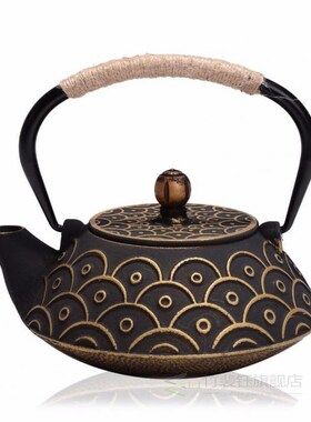 Cast Iron Teapot Set Japanese Tea Pot Tetsubin Kettle Enamel