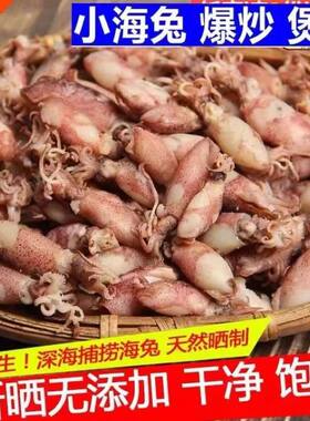 野生小海兔干货墨鱼干小管鱼干500g干海鲜干货乌贼干鱿鱼仔小管仔
