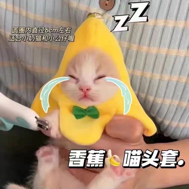香蕉mini头套可爱猫咪摆拍道具头套毛绒玩具香蕉猫幼猫安猫抚公仔