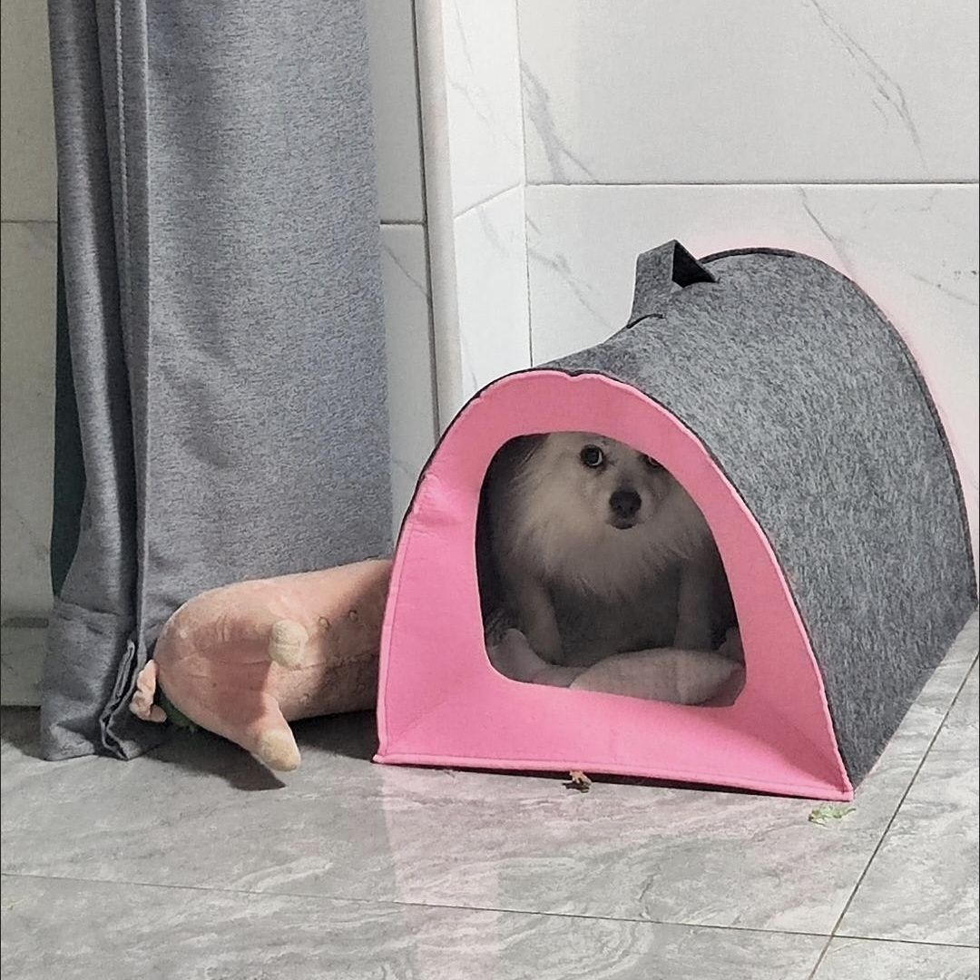 网红毛毡猫床猫窝四季通用保暖猫舍封闭式猫产房可折叠宠物毛毡窝