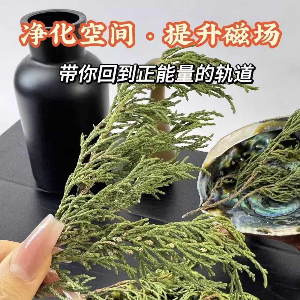 正宗西藏藏香柏枝叶天然藏香藏地图片