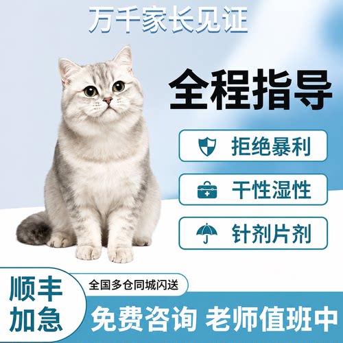 猫咪传腹针剂油剂水剂干性湿性