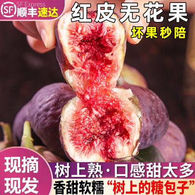 云南无花果鲜果新鲜现摘红青皮
