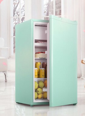 Household Mini Refrigerator Energy saving   Fridge  Fresh M