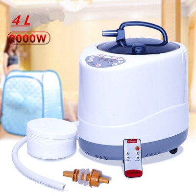 Steam Generator  220V/ E S  2000W Larger Capacity 4L Steamer