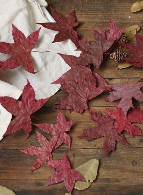 Natural Maple Leaf Dry Leaves Autumn Fall Foliage Red Origin