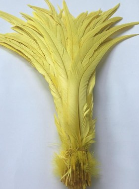Wholesale 100pcs Natural Cock Tail Feathers 25-40cm / 10-16i