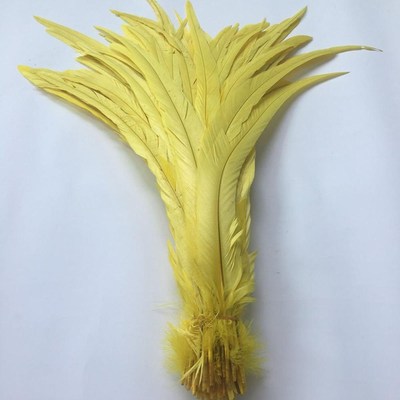 Wholesale 100pcs Natural Cock Tail Feathers 25-40cm / 10-16i