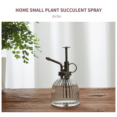 Plant Flower Glass Watering Pot Spray Bottle Sprinkler For