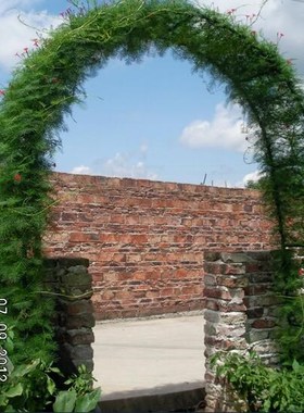 140*38*240cm high,Simple flower arch gardening gourd vines f