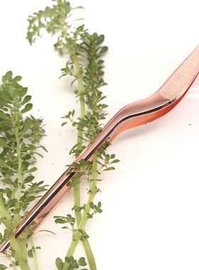 Seafood Tools Kitchen Wobble Plate Tweezers Tongs Profession