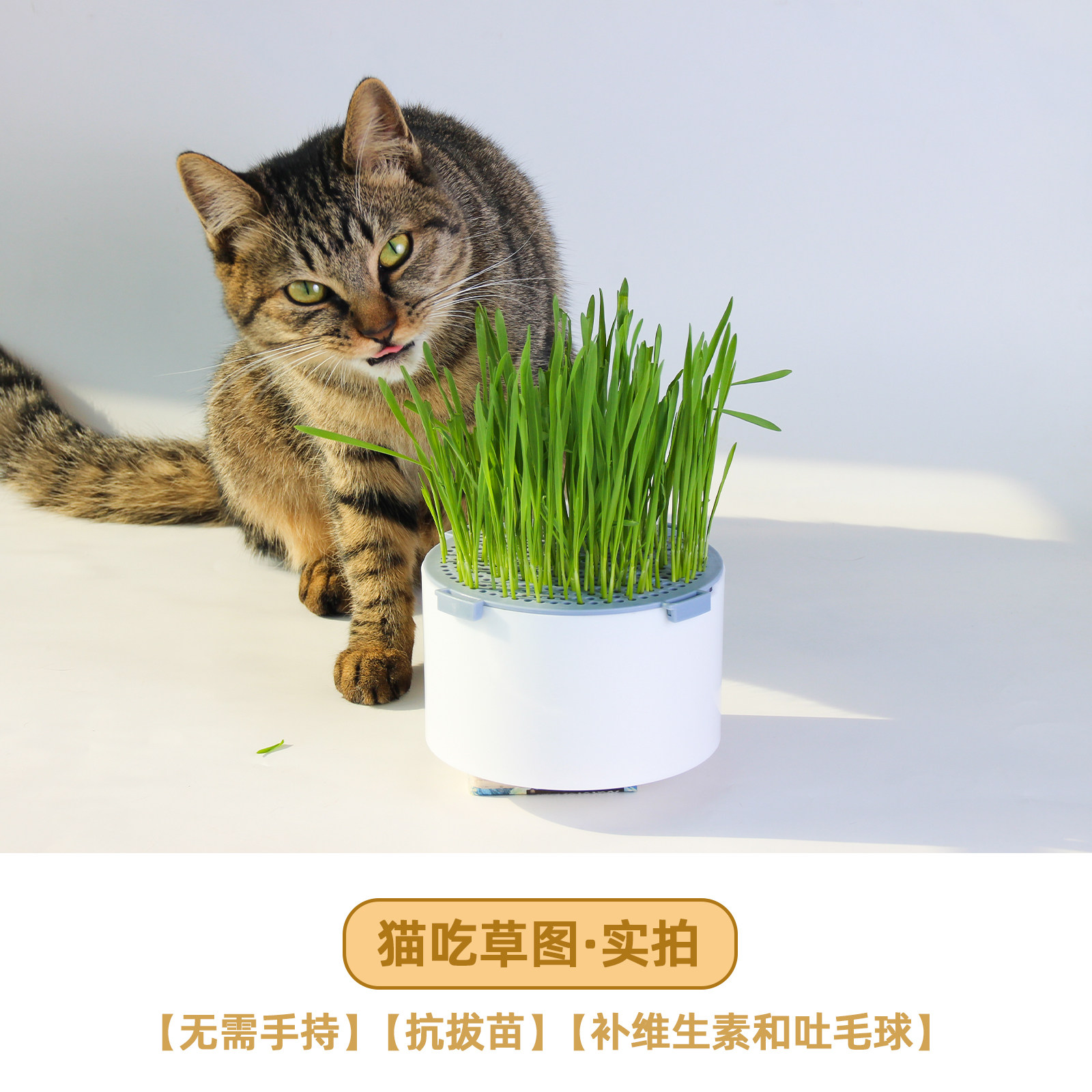 3.0旋扣猫草盆-免手持防拔猫咪零食吐毛球三层水培自种懒人猫草