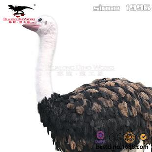 自贡大型仿真动物工厂鸵鸟塑性逼真亲子乐园动物园互动模型摆件