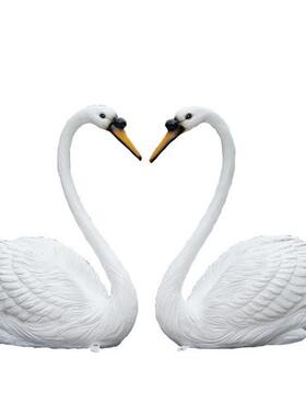 户外仿真天鹅雕塑玻璃钢园林景观庭院池塘草坪动物美陈装饰品摆件