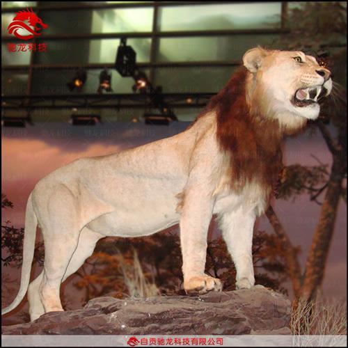 大型仿真动物装置斑马模型橡胶电动软体动物雕塑大型仿生可动机模