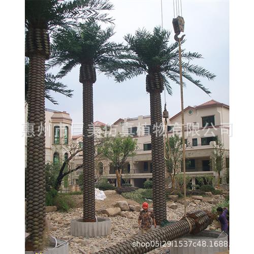 仿真海枣树塑胶皮中东海藻树人造仿生加拿利海藻树工程绿化假大树