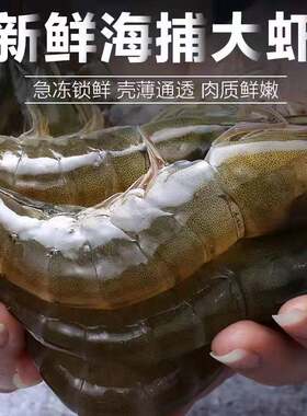 活虾速冻20-30规格净重3.3-3.6斤