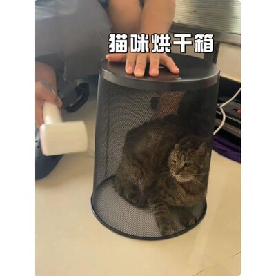 猫咪烘干箱宠物狗狗洗澡专用吹干神器小型犬吹风机吹水烘干垃圾桶