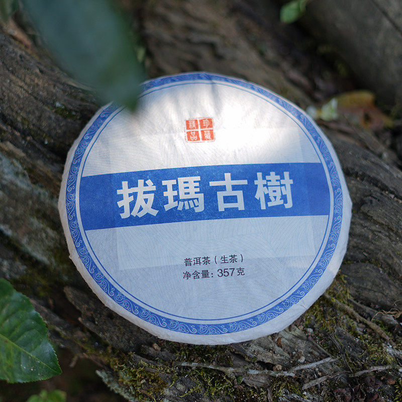 拔玛古树生茶云南勐海南糯山古树西双版纳江外古茶山饼茶