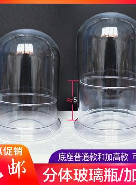 透明分体展示瓶秋海棠植物苔藓闷养壶绿植加高底摆件玻璃罩子包邮