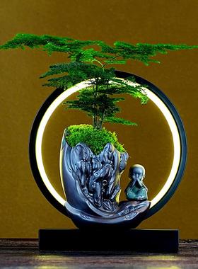 办公室植物盆栽摆件开业常青树绿植文竹小盆景客厅玄关桌面装饰品