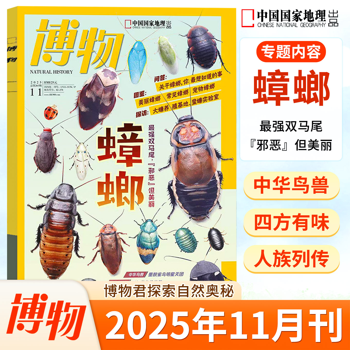 坚果博物杂志月刊正版日本恐龙