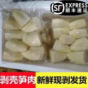 新鲜春笋肉去老根去壳竹笋建瓯春笋肉农家冬笋肉酒店专用笋肉商用