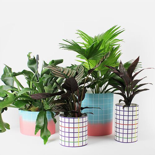 現貨法國PAPIERTIGRE新品防水