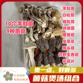 10个羊肚菌汤包组合9种菌菇鹿茸菇虫草花绣球菌白松茸猴头菇香菇