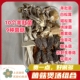 10个羊肚菌汤包组合9种菌菇鹿茸菇虫草花绣球菌白松茸猴头菇香菇