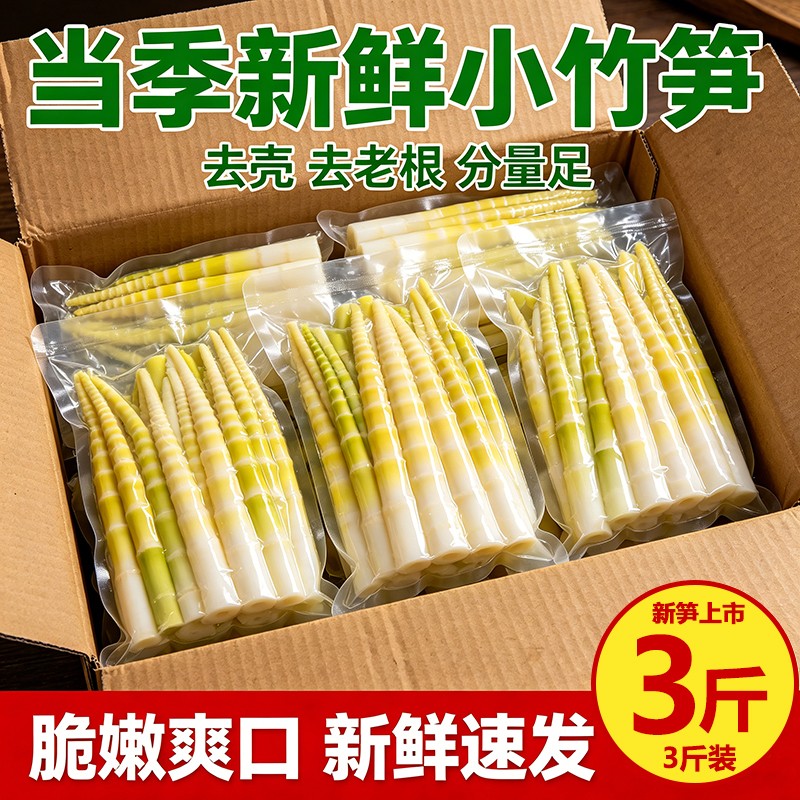 2026竹笋去壳当季小竹笋整根发货脆嫩多汁嫩笋尖火锅串串批发