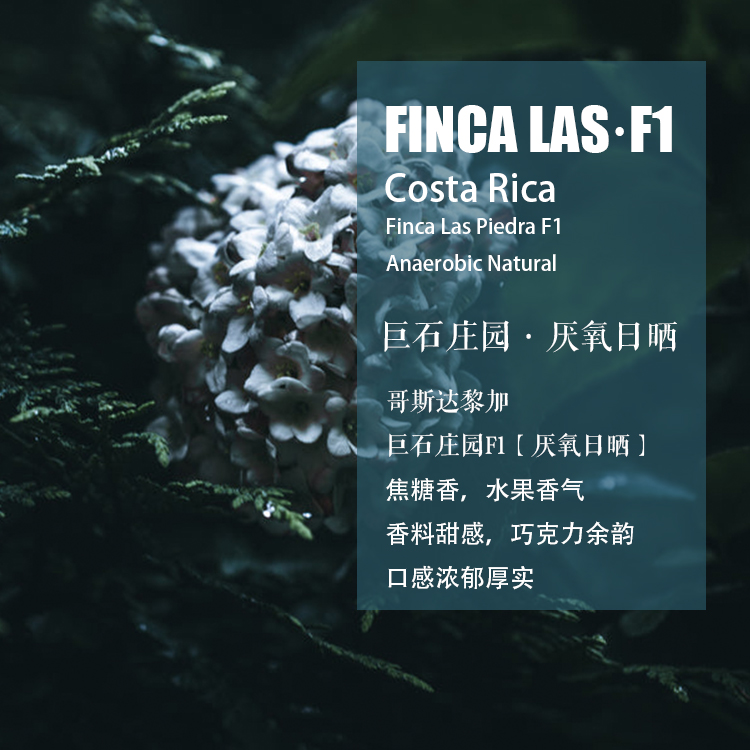 巨石庄园F1厌氧日晒手冲咖啡豆