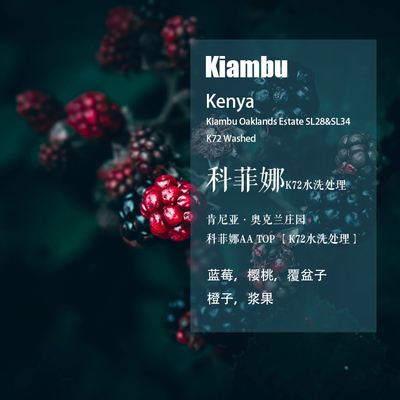 肯尼亚科菲娜水洗处理手冲咖啡豆