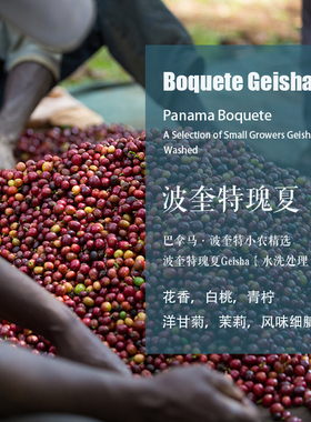 巴拿马波奎特小农精选波奎特Boquete瑰夏咖啡豆水洗处理手冲单品