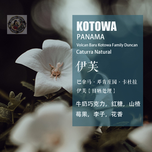 巴拿马邓肯庄园卡杜拉Caturra伊芙咖啡豆 日晒处理 手冲单品咖啡