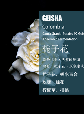 哥伦比亚天堂92庄园瑰夏Geisha栀子花厌氧水洗咖啡豆  手冲单品