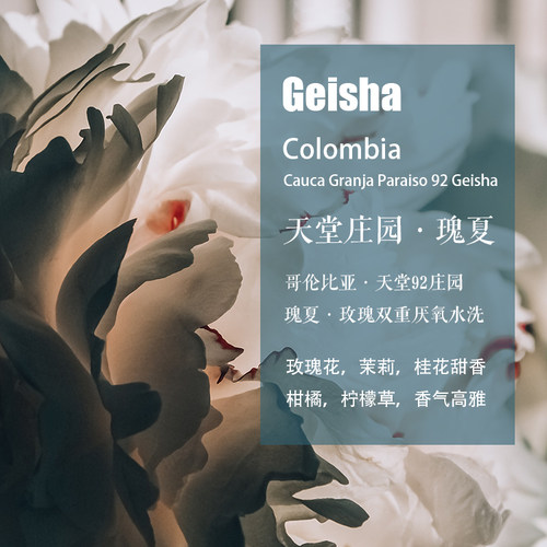 天堂92庄园瑰夏Geisha咖啡豆